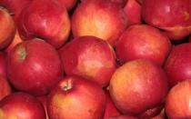 Яблоки Джонатан: фото и описание сорта
